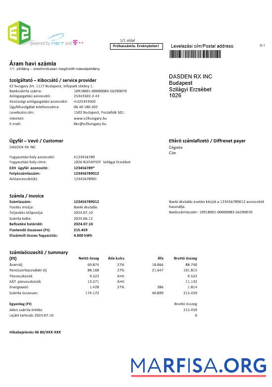 Blank Hungary E2 business utility bill template in Word and PDF formats